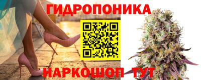 спайс Тара